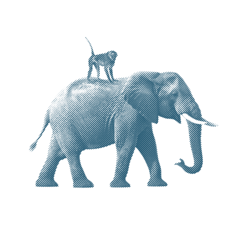 Elephants & Monkeys – der Elefant mit dem Affen auf dem Rücken